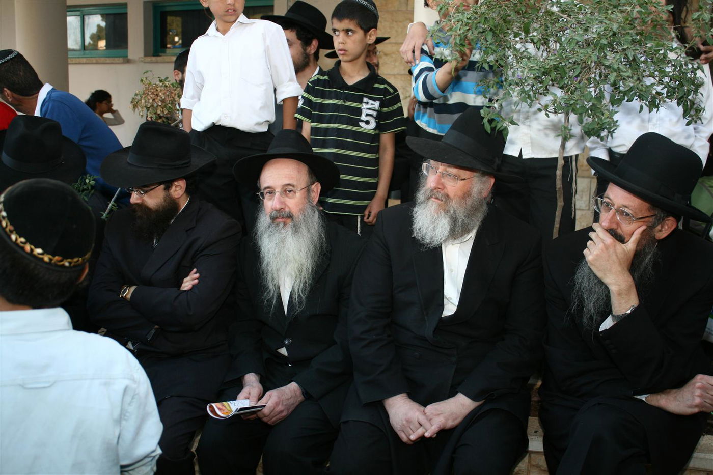 צפו בגלריה: צפת חגגה עם ספרי-התורה האבודים