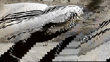 אילוסטרציה