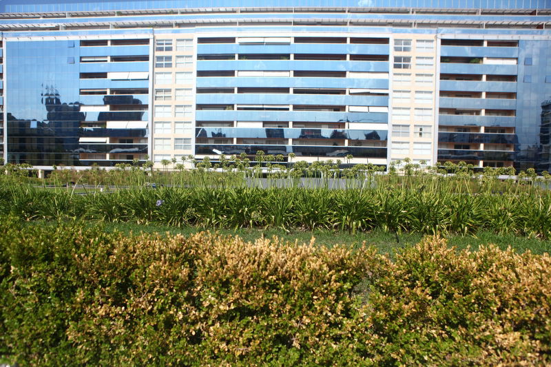 אלפסי בעולם: בואו למסע מרהיב בארגנטינה היהודית