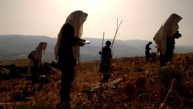 אילוסטרציה