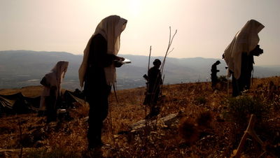 אילוסטרציה