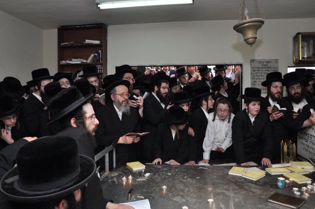 צפו: האדמו"ר מסערט ויז'ניץ על ציון זקנו