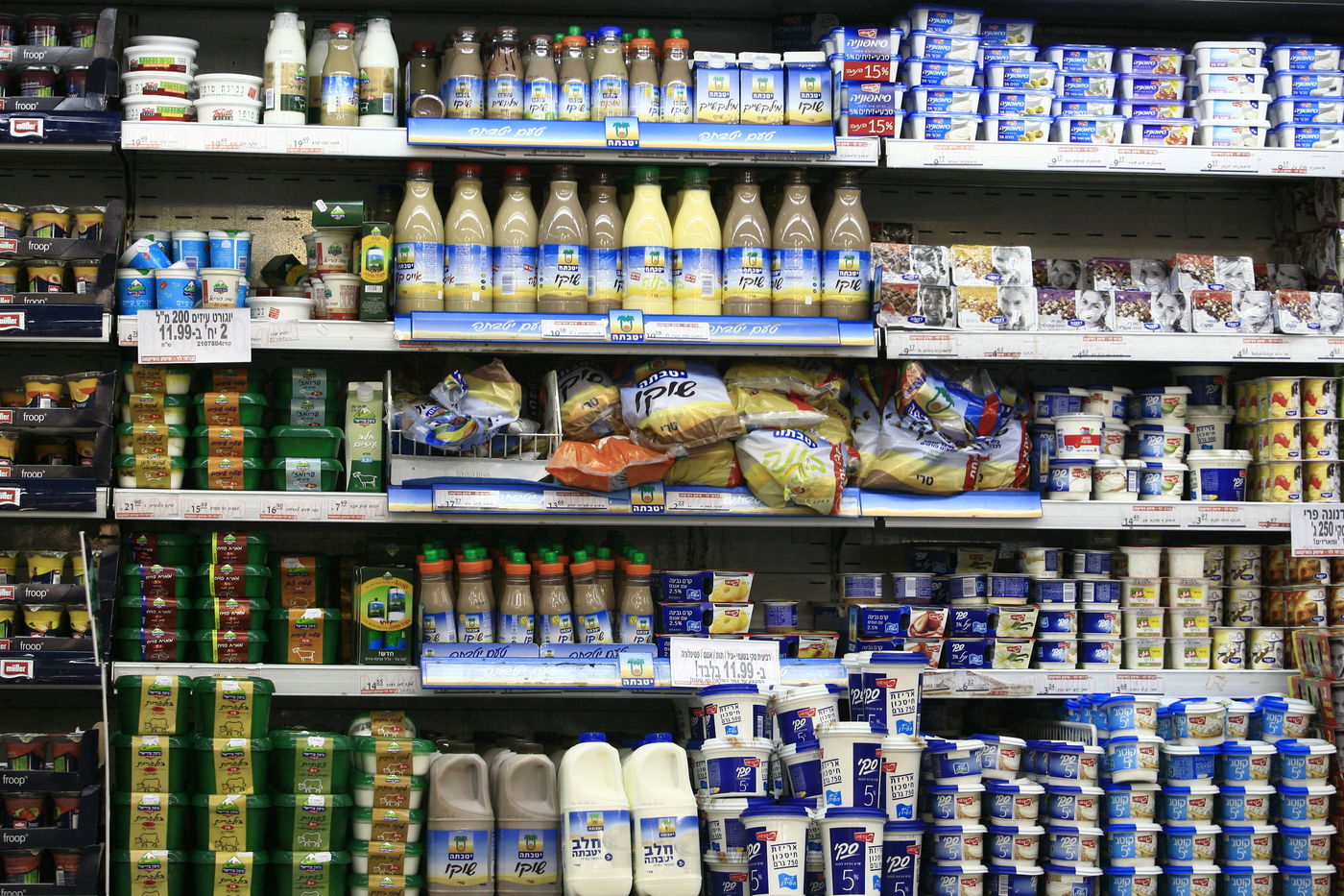 סיכון למחלות: הצד האפל והמסוכן של מוצרי החלב