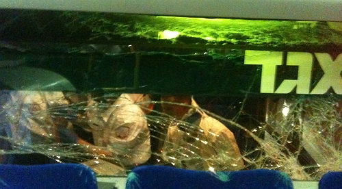 10 נוסעים נפגעו בתאונת אוטובוסים בירושלים; מצבם קל