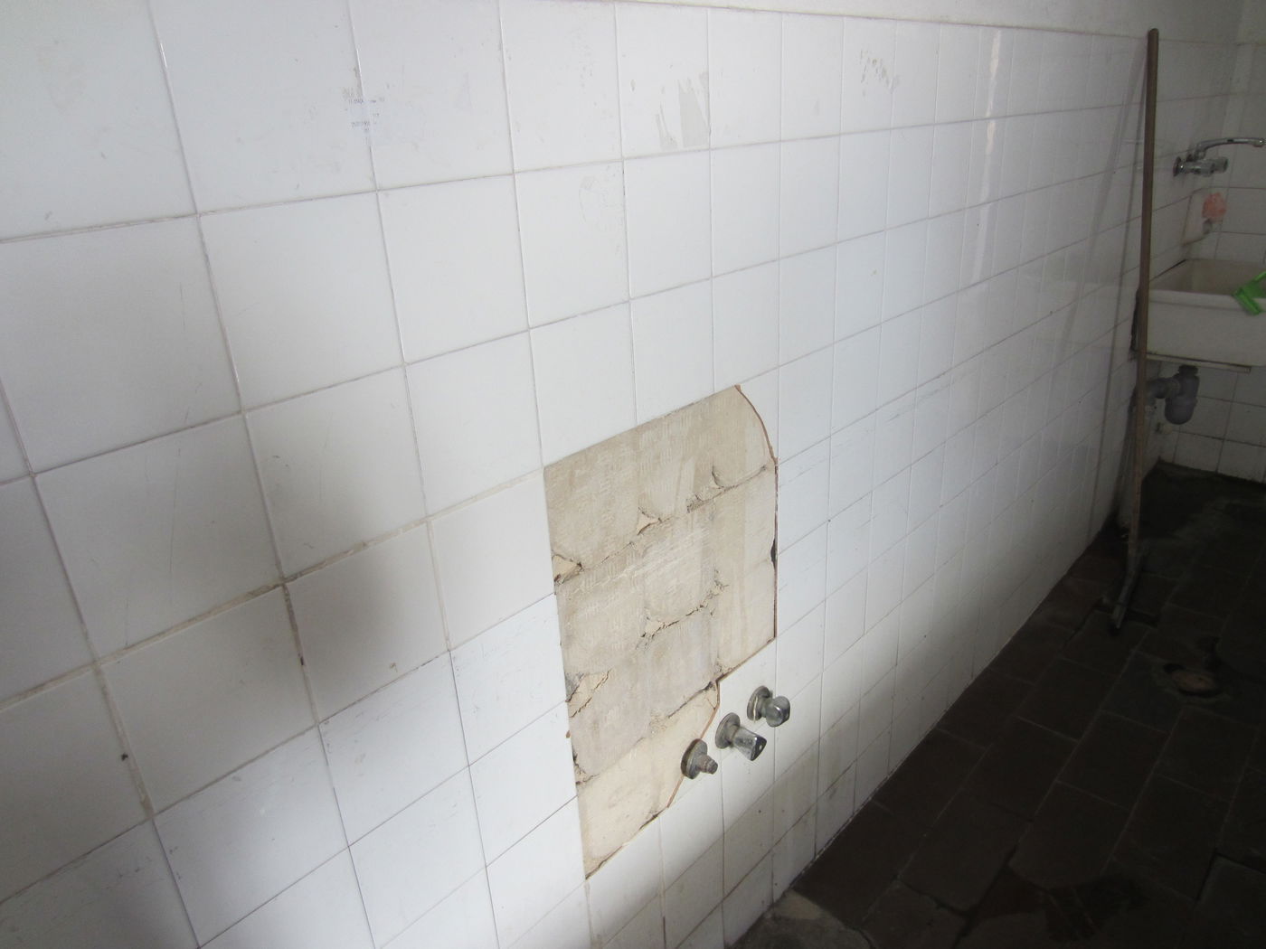 הסודות האפלים של 'שמגר': הזנחה, לכלוך וביזיון המת