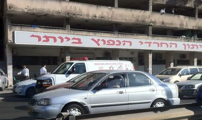 מערכת יתד נאמן