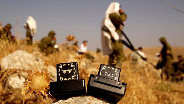 אילוסטרציה