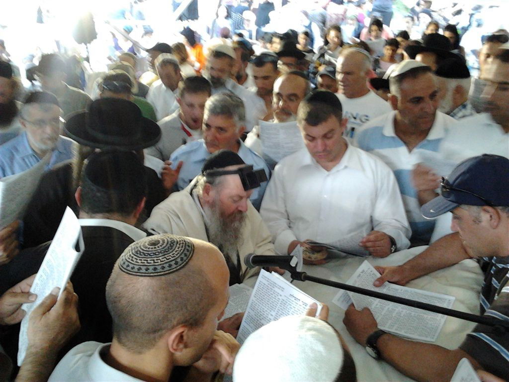 עמוקה תשע"ב: רווקים בפעם האחרונה