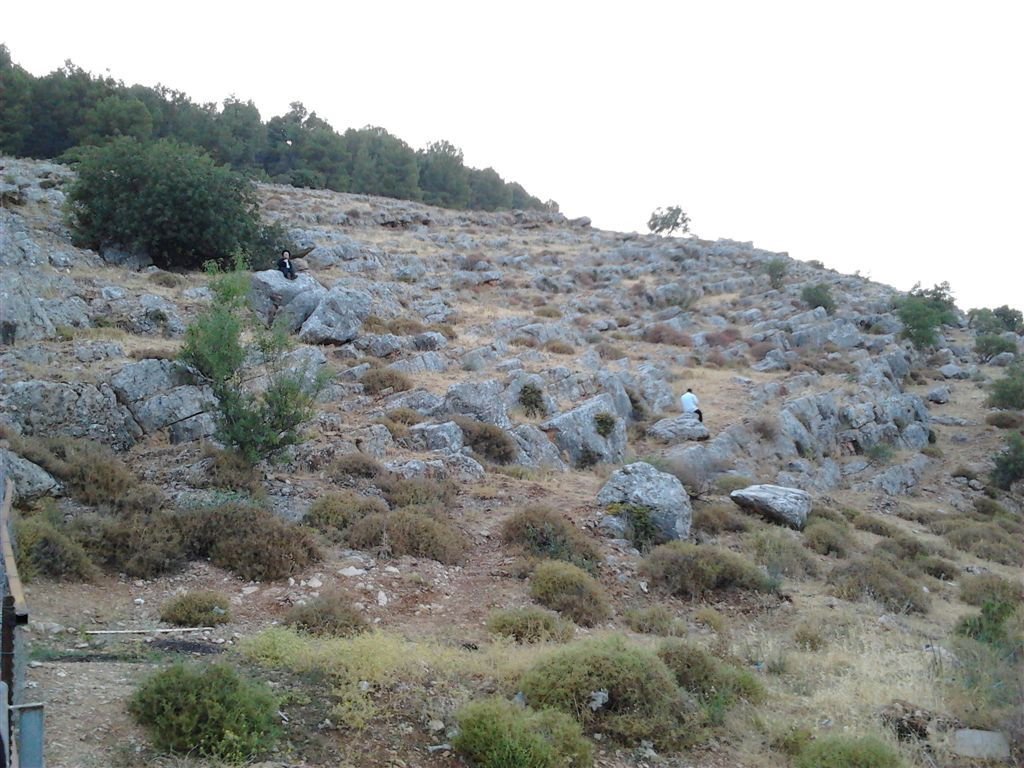 עמוקה תשע"ב: רווקים בפעם האחרונה