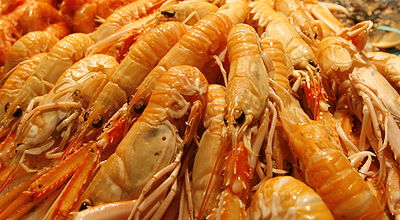 ערנותו של משגיח הכשרות הצילה את הסועדים משרימפס