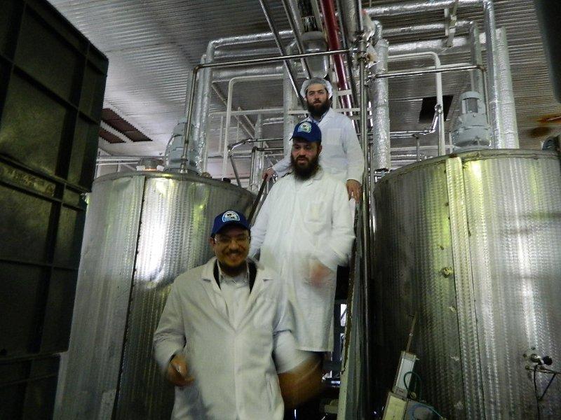 מהפכת הכשרות ברוסיה: גלידה למהדרין