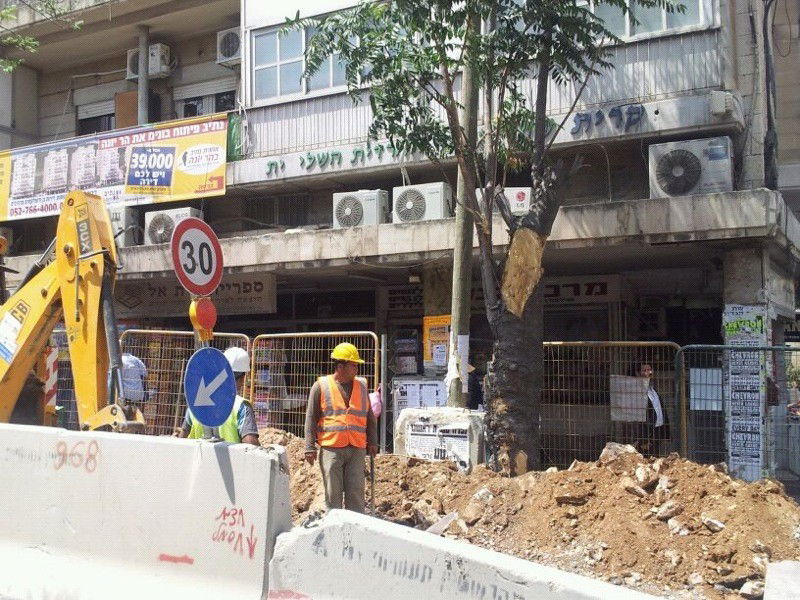 ירושלים: טרקטור הפיל עץ על אישה; נפגעה קל