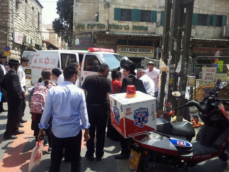 ירושלים: טרקטור הפיל עץ על אישה; נפגעה קל