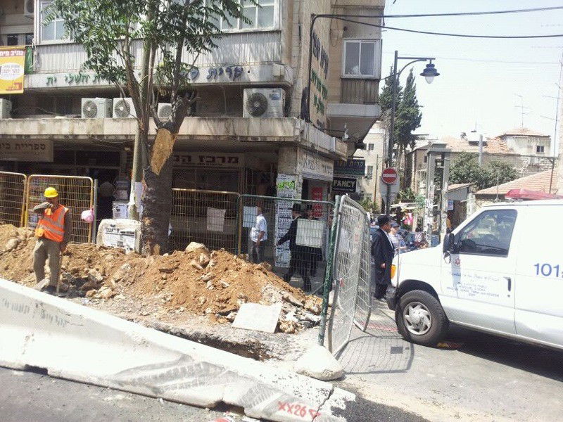 ירושלים: טרקטור הפיל עץ על אישה; נפגעה קל