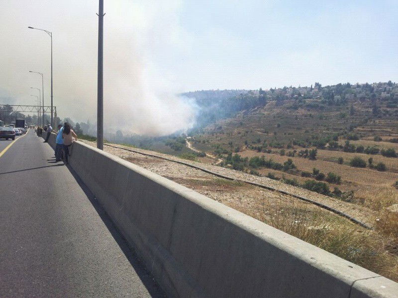 אחרי שעות ארוכות: הושגה שליטה על השריפה הגדולה