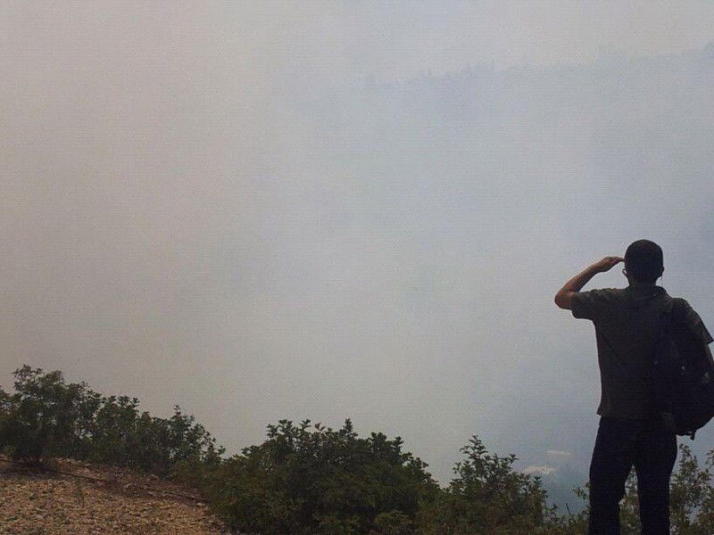 אחרי שעות ארוכות: הושגה שליטה על השריפה הגדולה