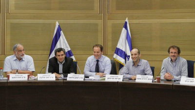 דיוני הוועדה