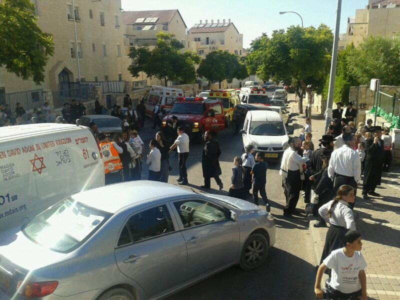 צפו: עץ קרס על ילדים בגן משחקים