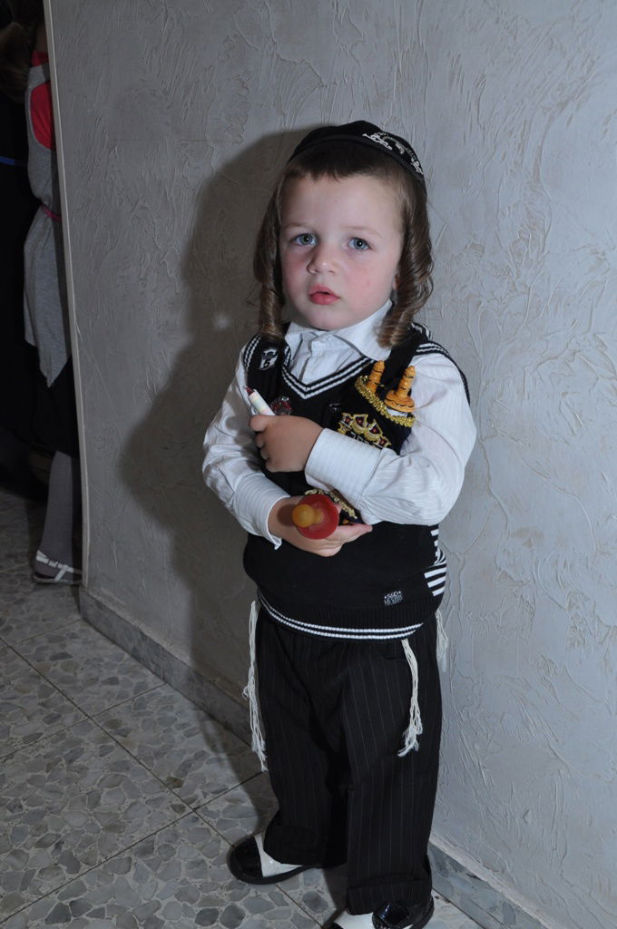 תיעוד: הכנסת ספר תורה לבית כנסת בקרית צאנז בירושלים