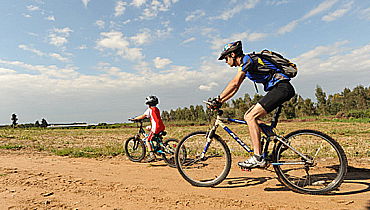 חוזרים הביתה בשלום