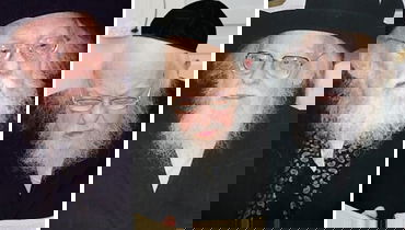 "אם ידקרו את הרב אלישיב לא ייצא ממנו דם; תצא תורה"