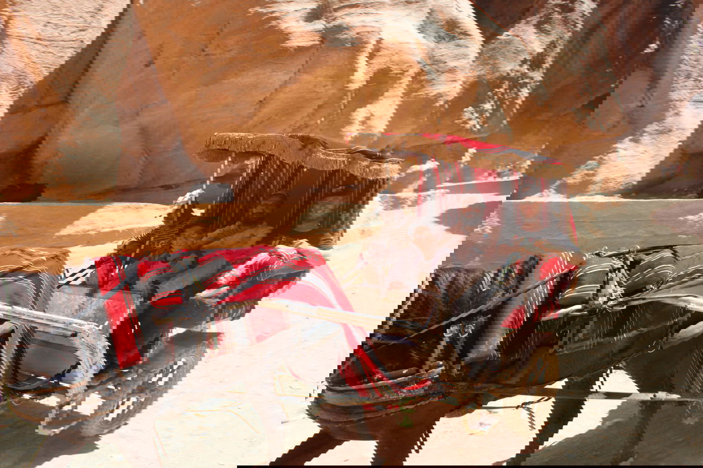 גלריה: אברכים חרדים בכאפיות ביקרו בקבר אהרן הכהן בירדן