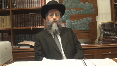 הרב דוד יוסף