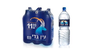 'עין גדי' מזהירה: חיידקים מסוכנים בשישיות מים