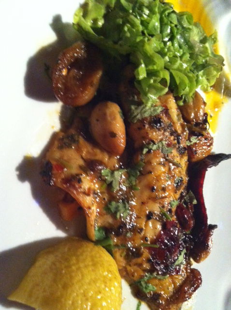 המנה שלכם חגיגית מאי פעם