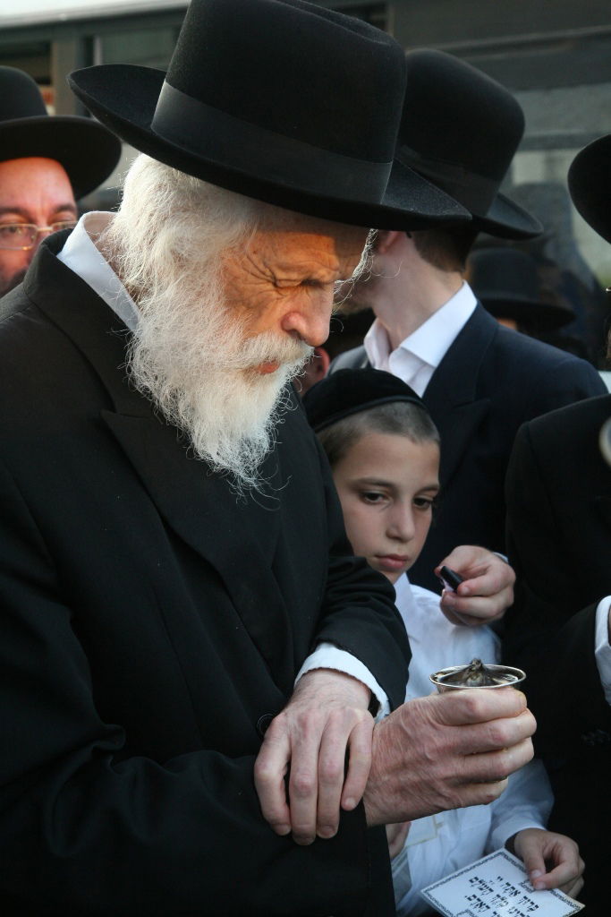 חתונת נכדת רבי ניסים קרליץ: גלריית ענק