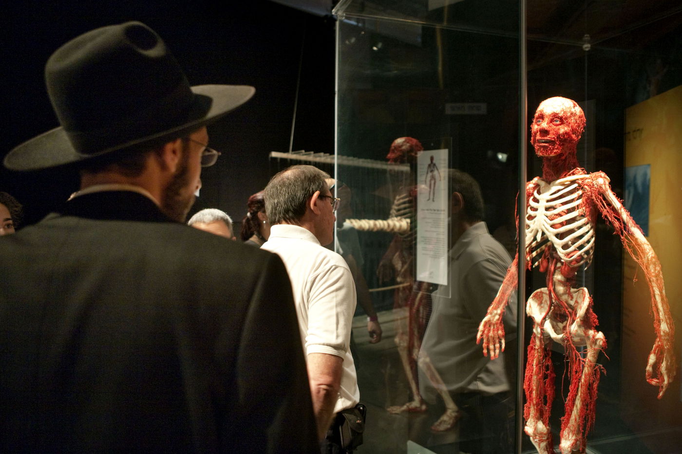 תערוכת הגופות בתל אביב