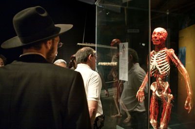 תערוכת הגופות בתל אביב