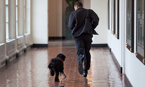 אובמה וכלבו