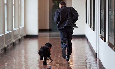 אובמה וכלבו