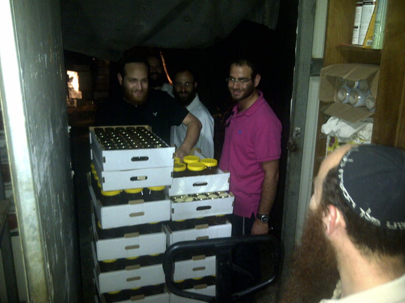 שבועיים לראש-השנה: נמנעה גניבת ענק בכוורת גדולה בכפר-חב"ד