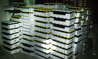 חלק מהסחורה שהגנבים סידרו מחוץ לכוורת