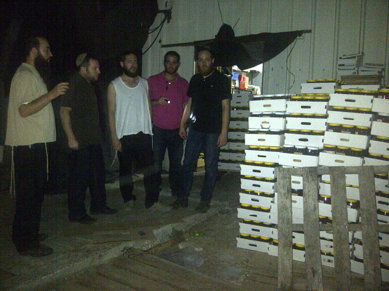 שבועיים לראש-השנה: נמנעה גניבת ענק בכוורת גדולה בכפר-חב"ד