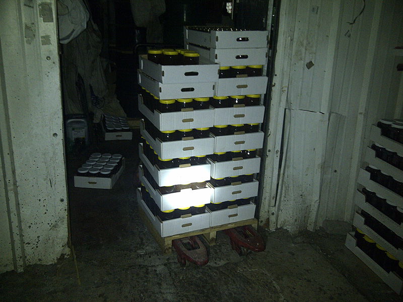 שבועיים לראש-השנה: נמנעה גניבת ענק בכוורת גדולה בכפר-חב"ד