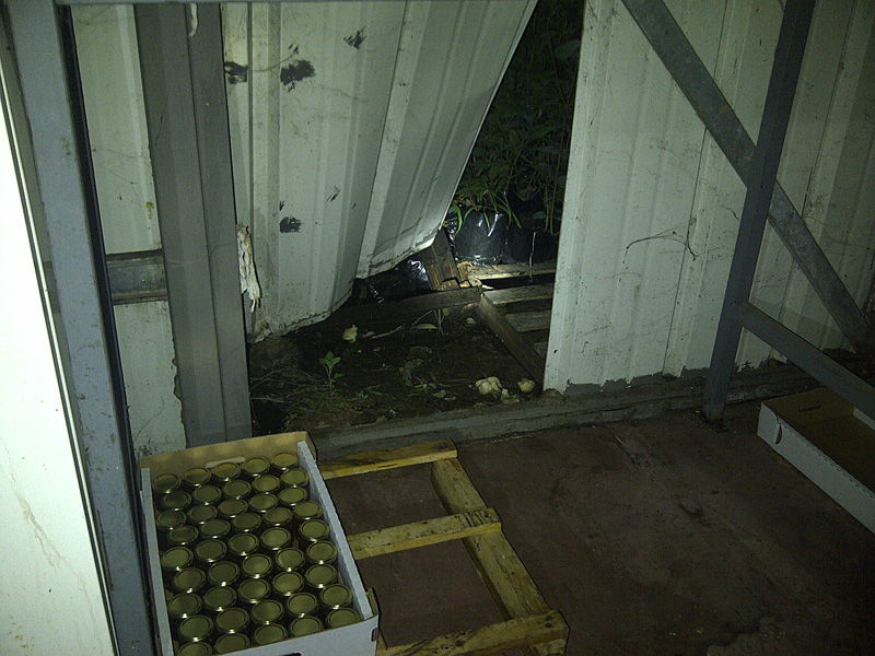 שבועיים לראש-השנה: נמנעה גניבת ענק בכוורת גדולה בכפר-חב"ד