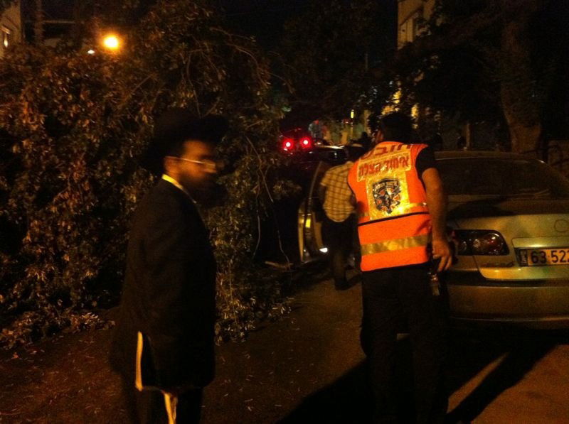 נס בבני-ברק: עץ עבות נפל על רכב בו נהג אברך