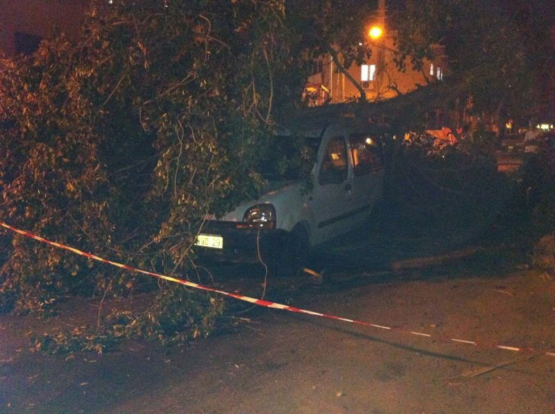 נס בבני-ברק: עץ עבות נפל על רכב בו נהג אברך