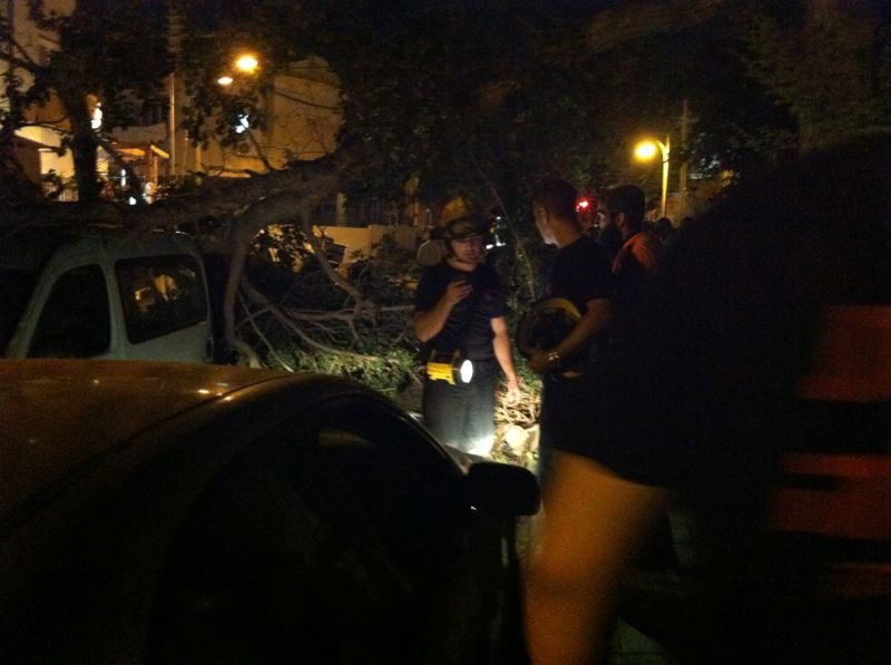 נס בבני-ברק: עץ עבות נפל על רכב בו נהג אברך