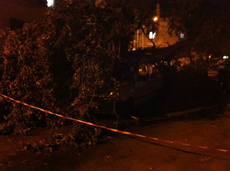 נס בבני-ברק: עץ עבות נפל על רכב בו נהג אברך