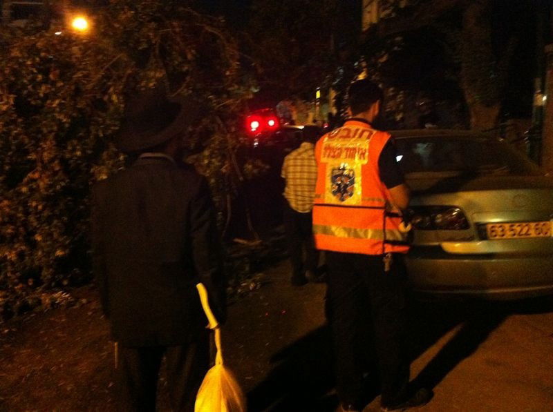 נס בבני-ברק: עץ עבות נפל על רכב בו נהג אברך