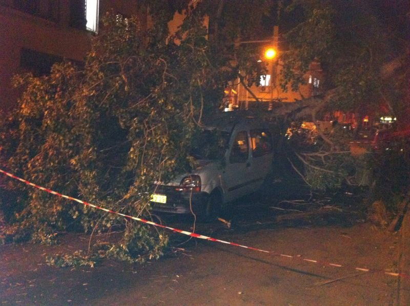 נס בבני-ברק: עץ עבות נפל על רכב בו נהג אברך