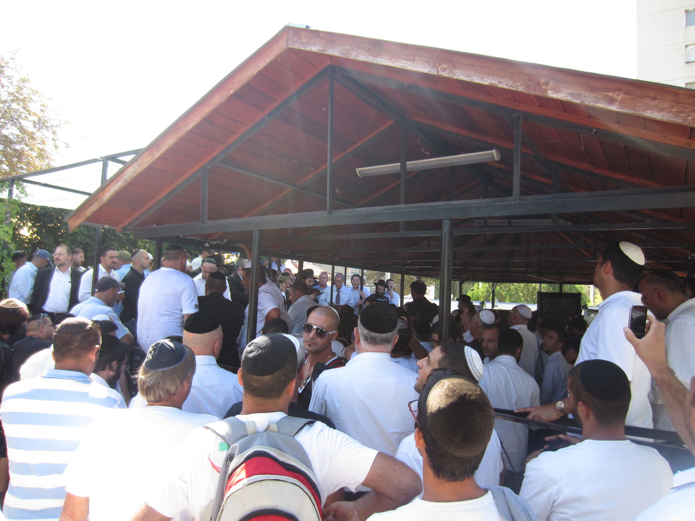 במטוס, עם הרב פינטו: המסע הסוחף לפלא יועץ