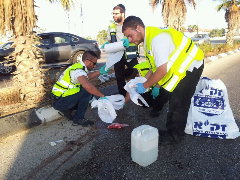 (צילום אהרן פאמפ)