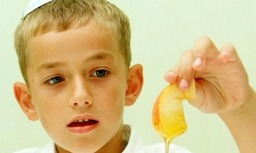 בשנת 2011 צרכנו 75,000 טון דגים: מאכלי ראש-השנה - במספרים