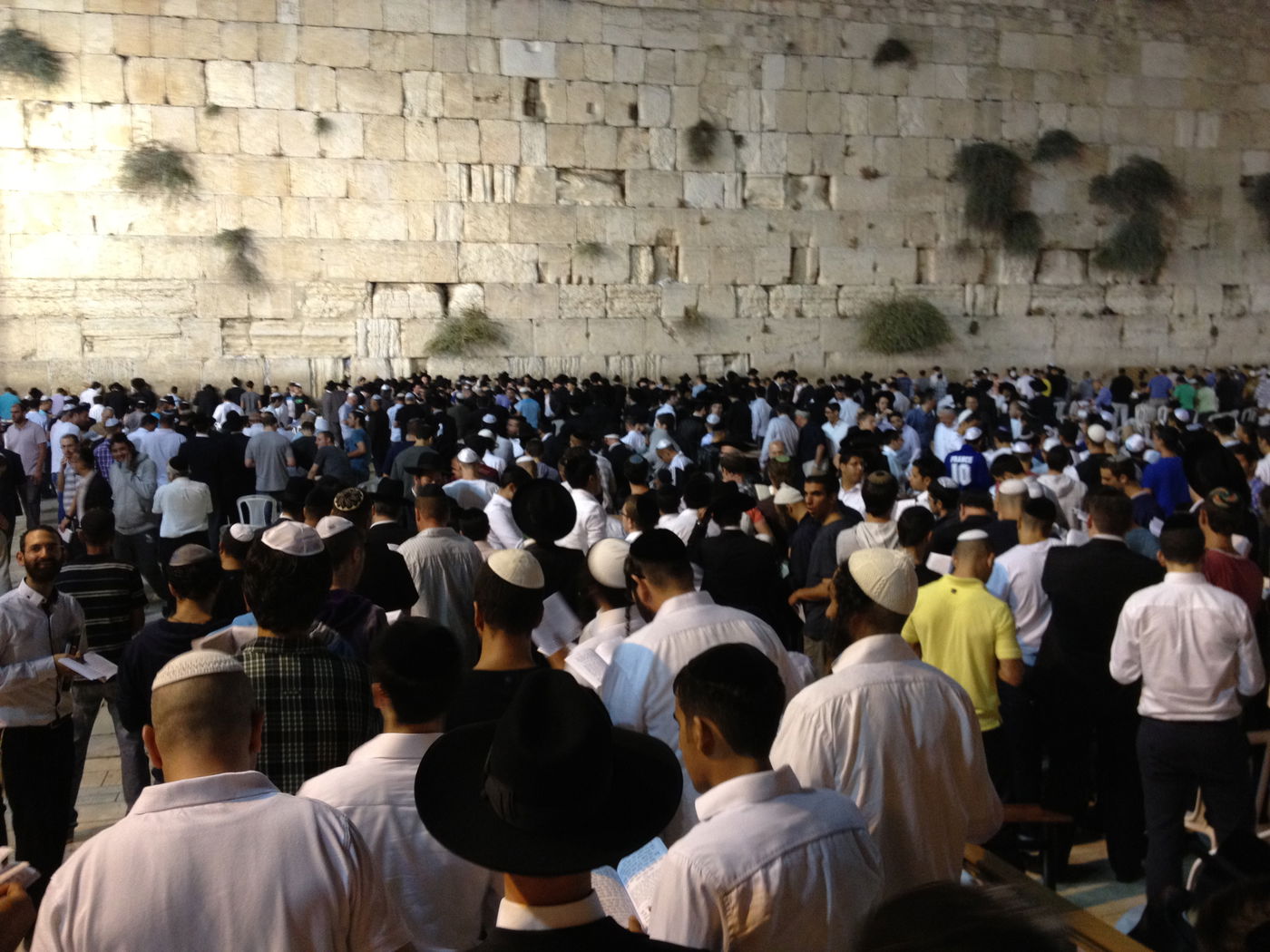 בְּמוֹצָאֵי מְנוּחָה: אלפים באמירת סליחות בכותל