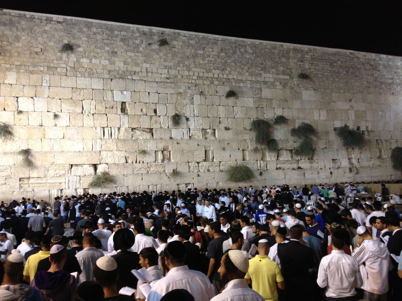 בְּמוֹצָאֵי מְנוּחָה: אלפים באמירת סליחות בכותל